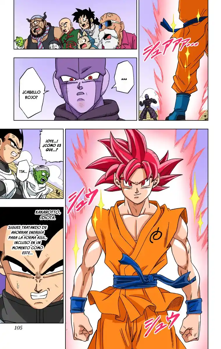 Dragon Ball Super Full Color - Capítulo 13 - Página 13 - LectorTMOo