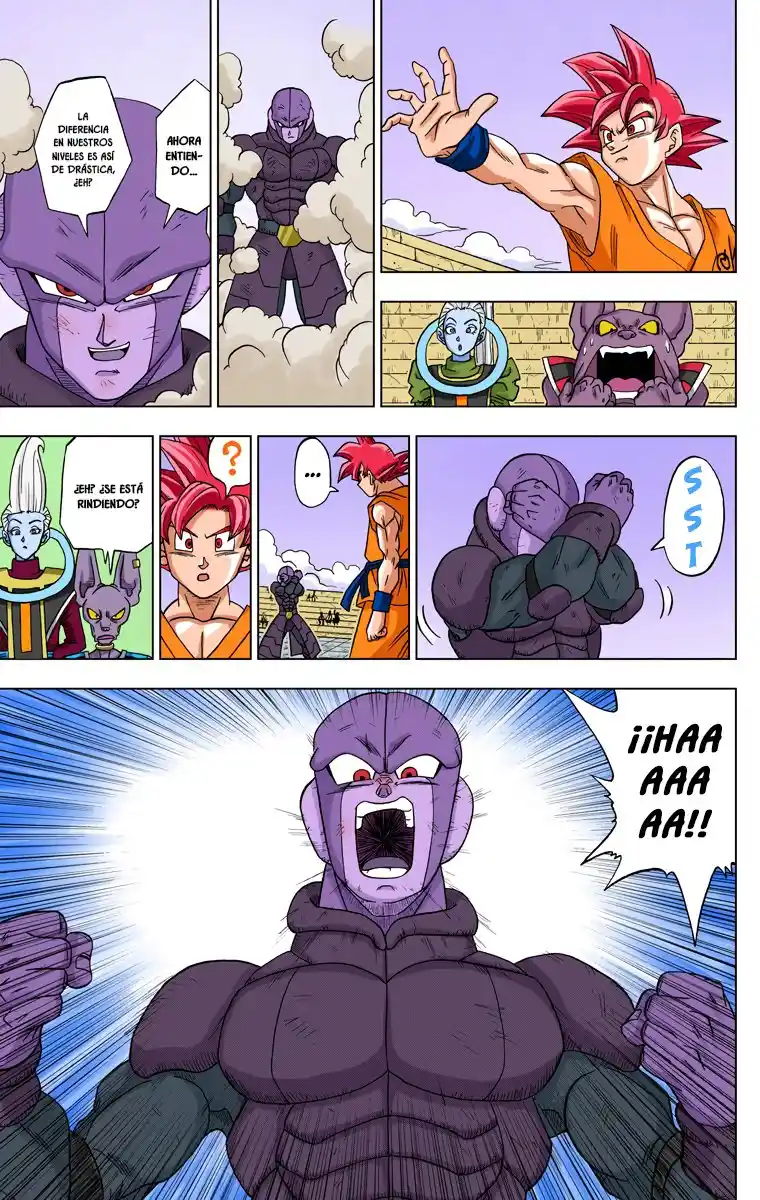 Dragon Ball Super Full Color - Capítulo 13 - Página 19 - LectorTMOo