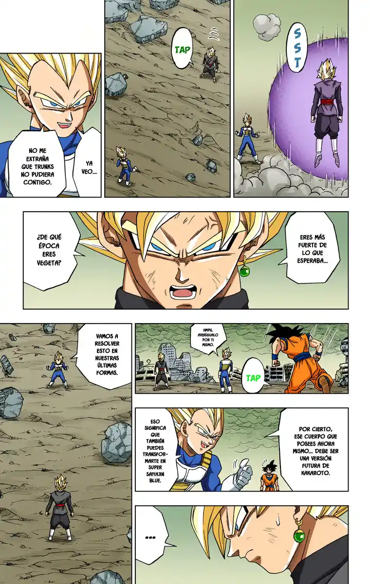 Dragon Ball Super Full Color - Capítulo 19 - Página 13 - LectorTMOo