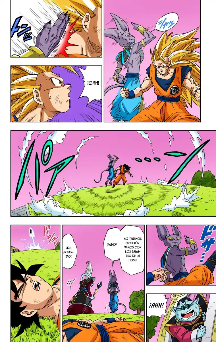 Dragon Ball Super Full Color - Capítulo 2 - Página 15 - LectorTMOo