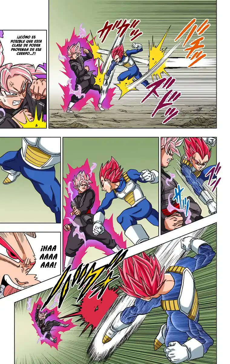 Dragon Ball Super Full Color - Capítulo 22 - Página 17 - LectorTMOo