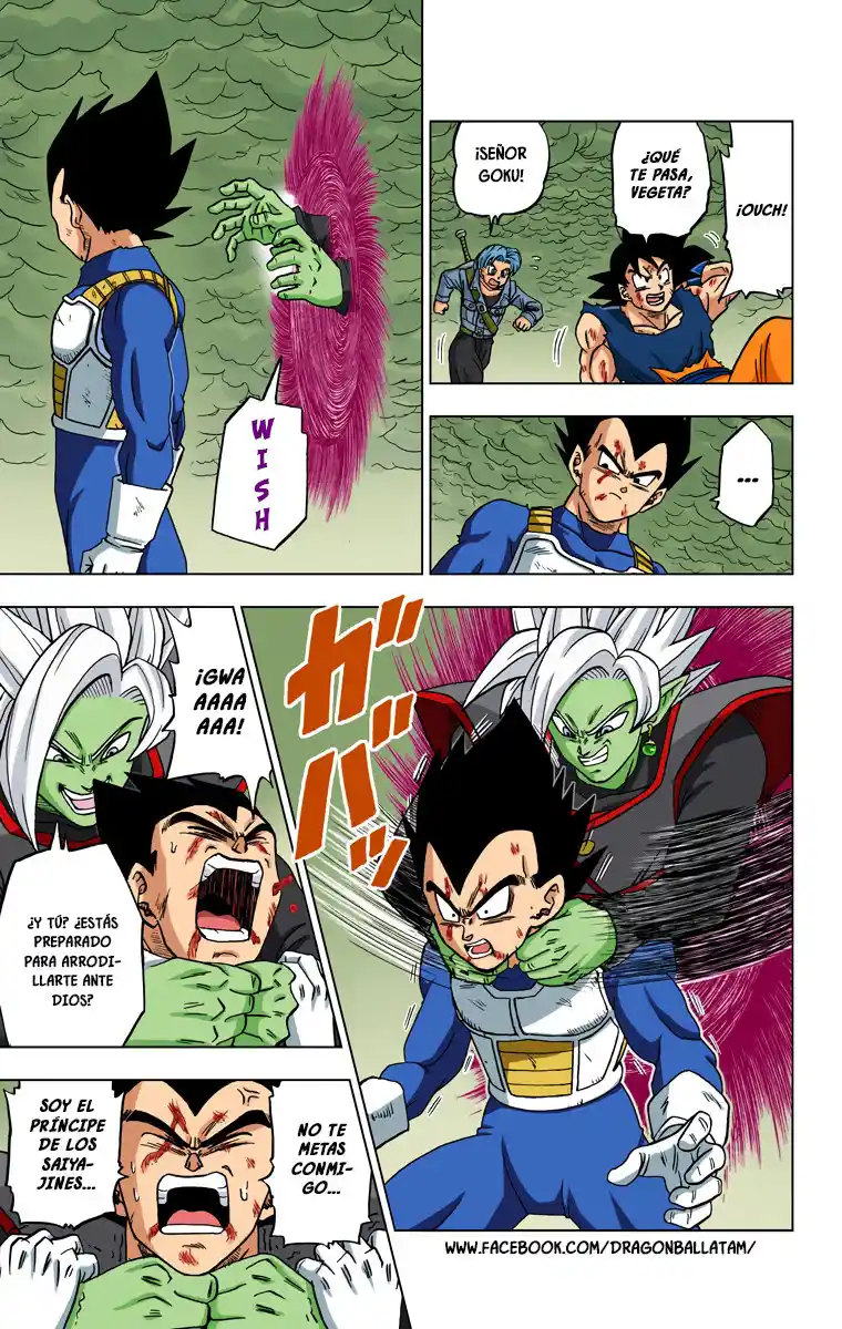 Dragon Ball Super Full Color - Capítulo 24 - Página 19 - LectorTMOo
