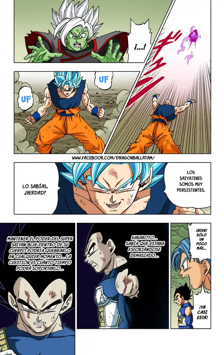 Dragon Ball Super Full Color - Capítulo 24 - Página 43 - LectorTMOo