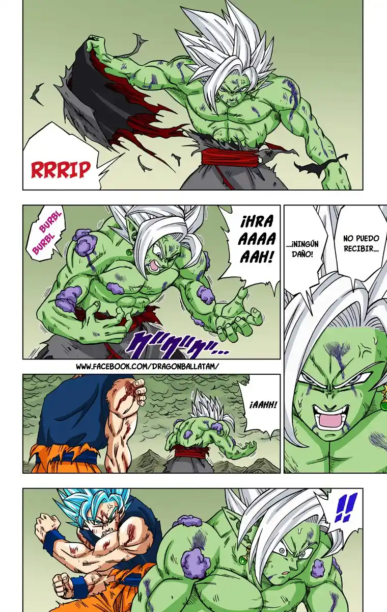 Dragon Ball Super Full Color - Capítulo 25 - Página 15 - LectorTMOo
