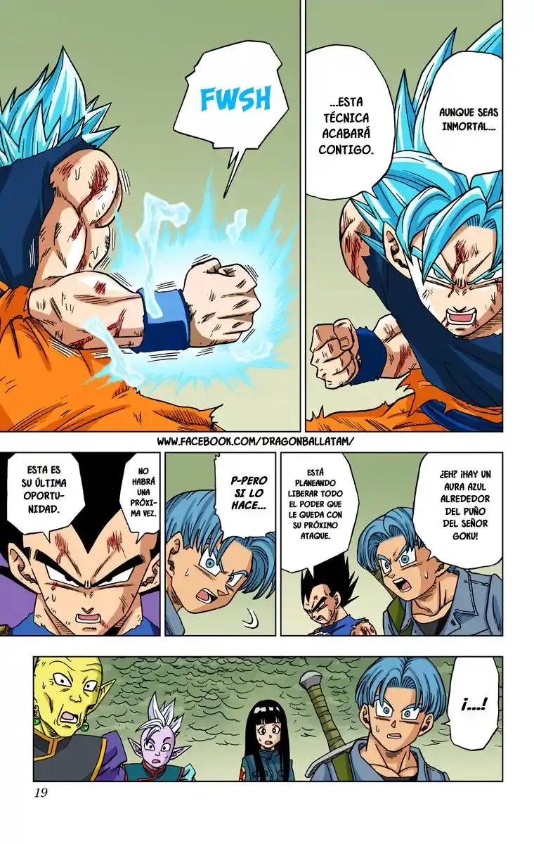 Dragon Ball Super Full Color - Capítulo 25 - Página 18 - LectorTMOo