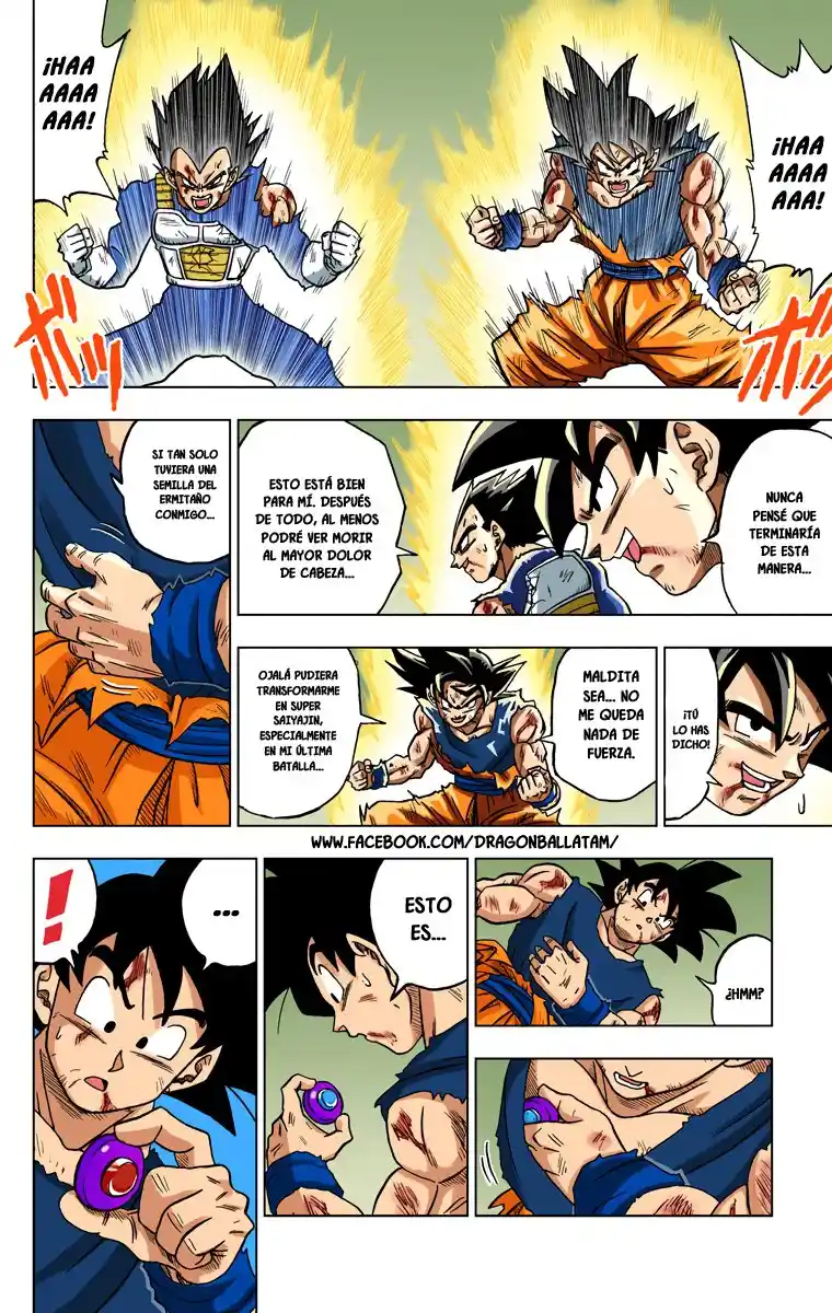 Dragon Ball Super Full Color - Capítulo 26 - Página 14 - LectorTMOo