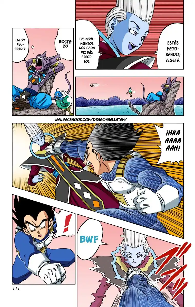 Dragon Ball Super Full Color - Capítulo 27 - Página 13 - LectorTMOo