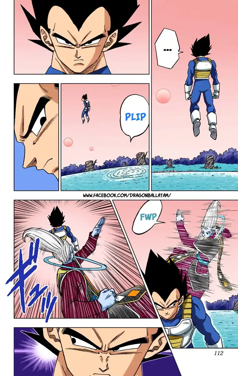 Dragon Ball Super Full Color - Capítulo 27 - Página 14 - LectorTMOo