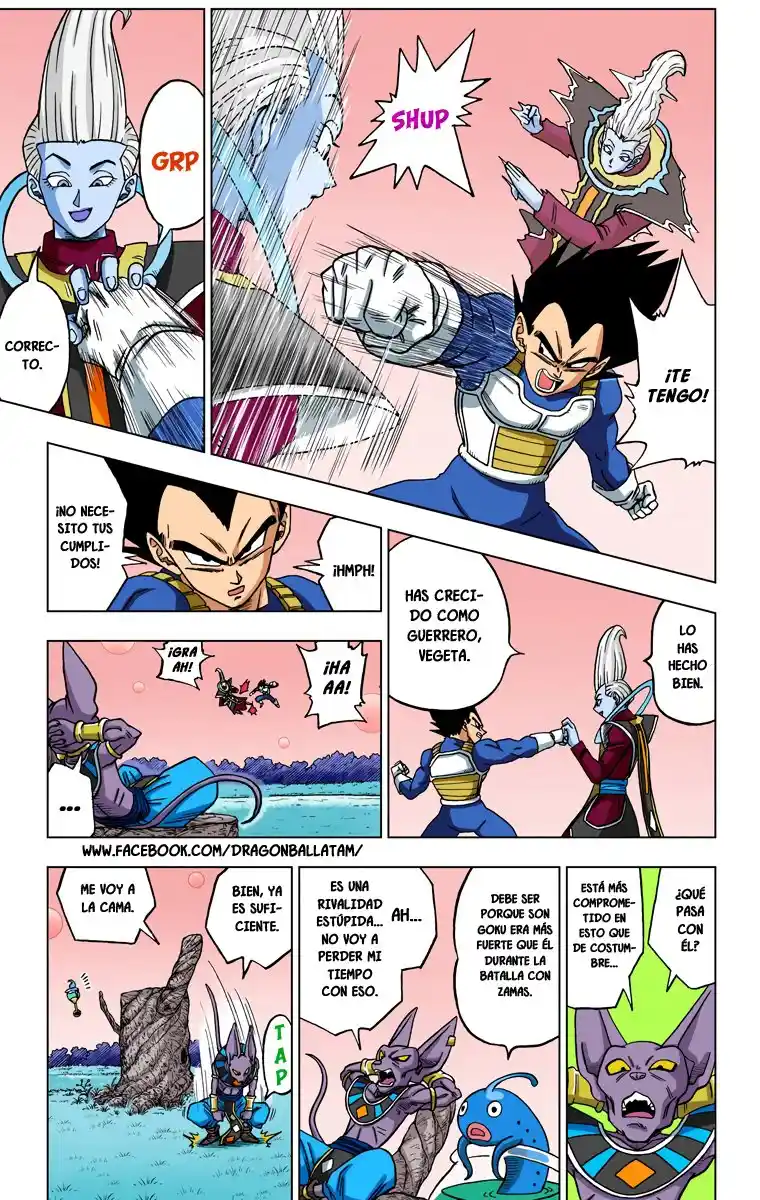 Dragon Ball Super Full Color - Capítulo 27 - Página 15 - LectorTMOo