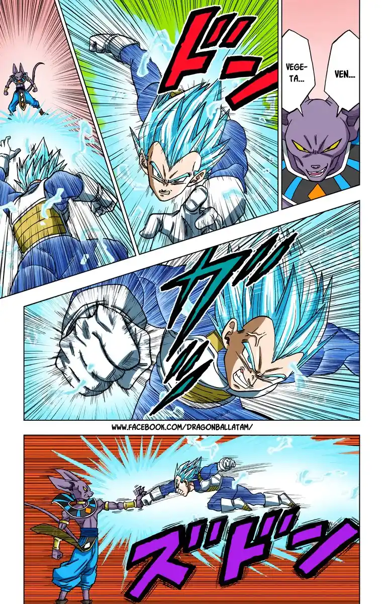 Dragon Ball Super Full Color - Capítulo 27 - Página 19 - LectorTMOo