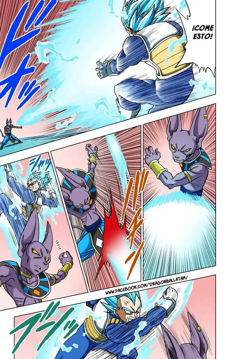 Dragon Ball Super Full Color - Capítulo 27 - Página 21 - LectorTMOo