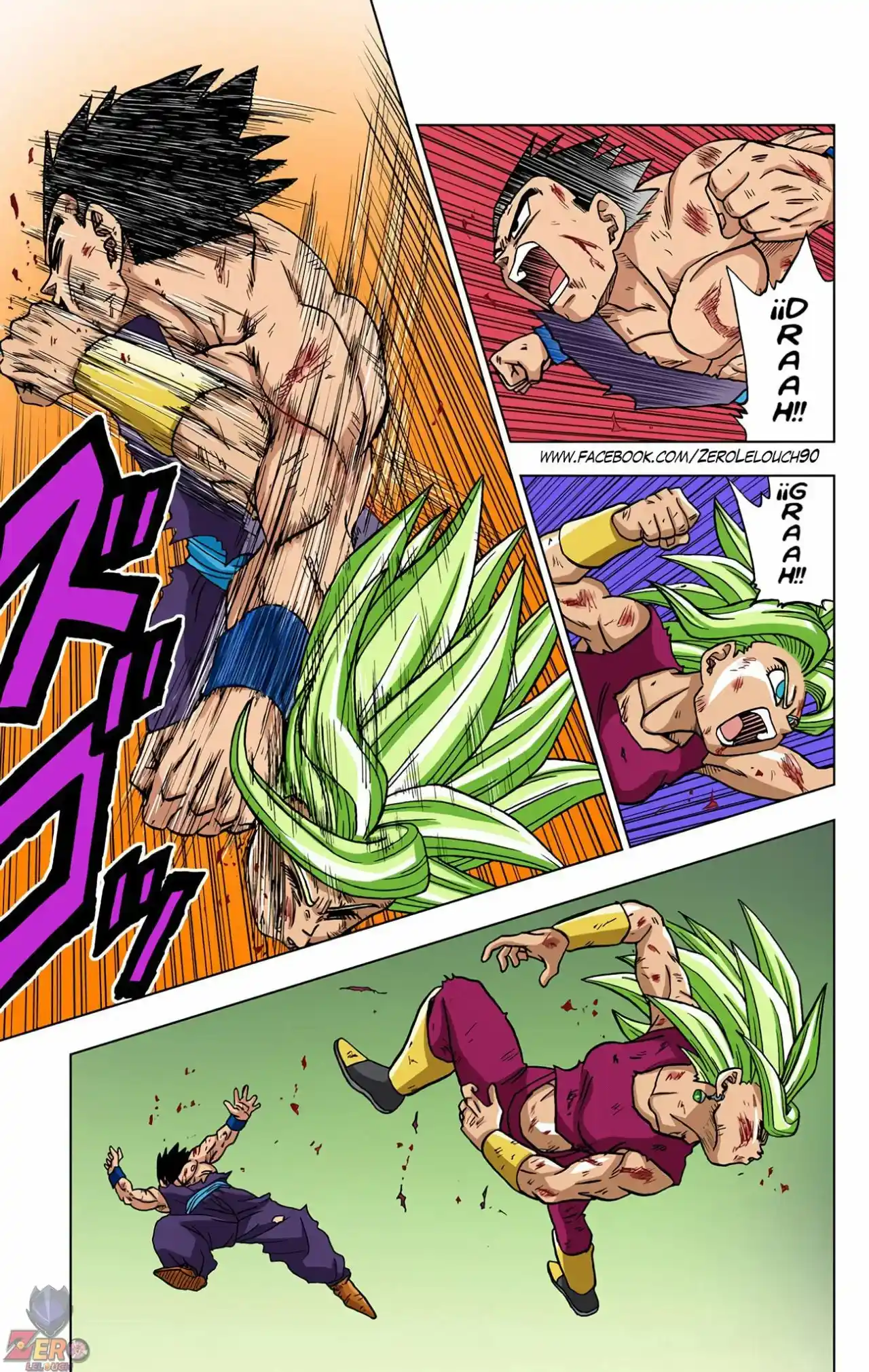 Dragon Ball Super Full Color - Capítulo 39 - Página 13 - LectorTMOo