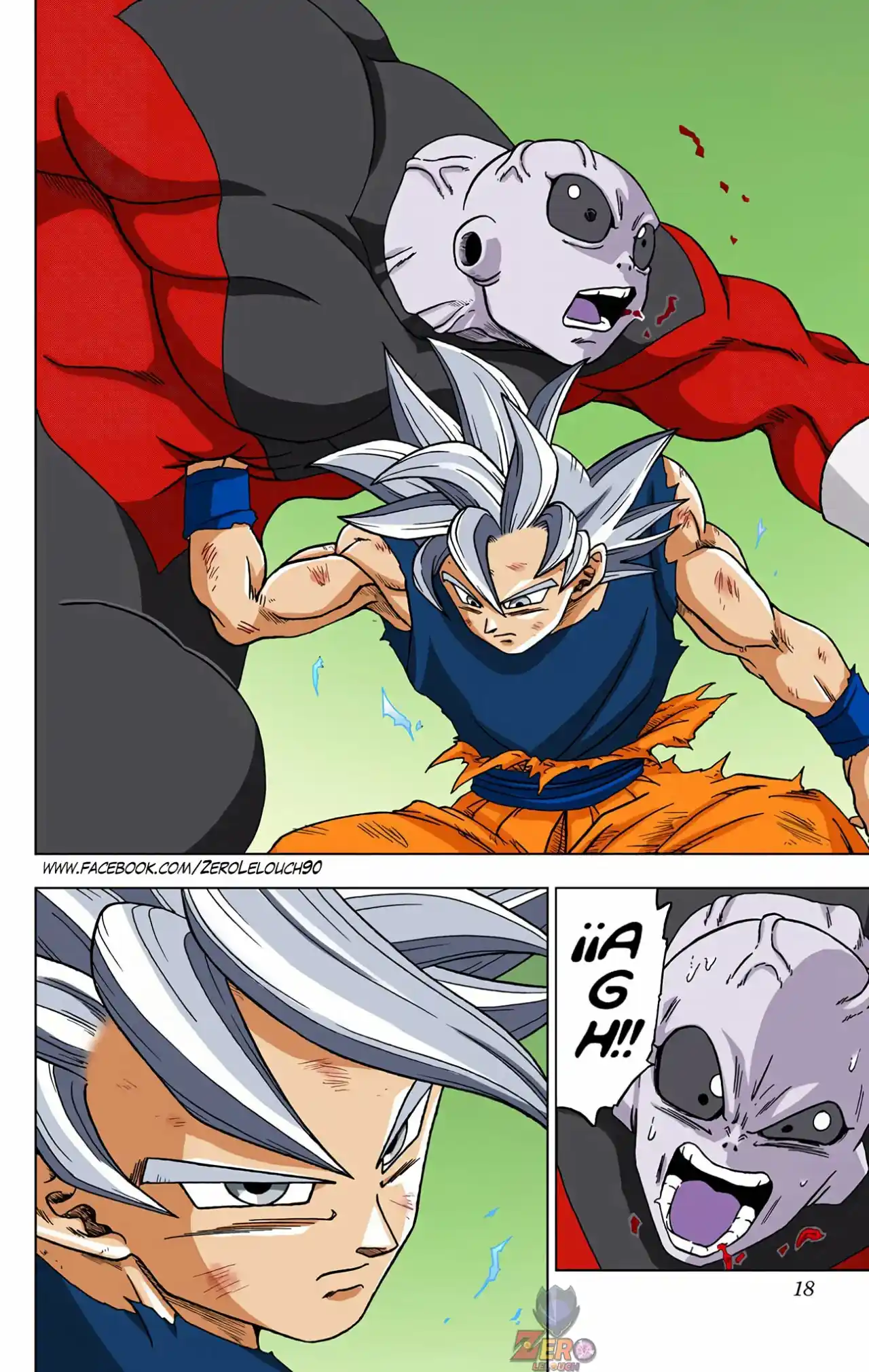 Dragon Ball Super Full Color - Capítulo 41 - Página 17 - LectorTMOo