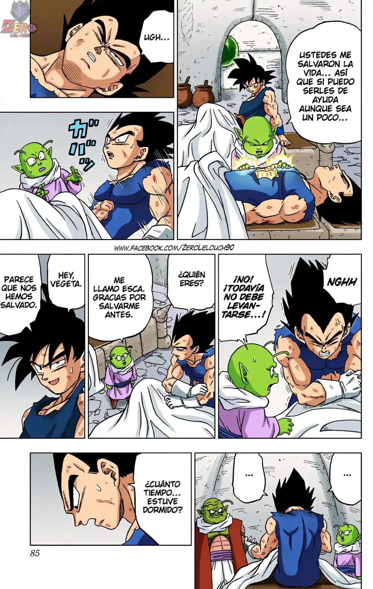 Dragon Ball Super Full Color - Capítulo 46 - Página 33 - LectorTMOo