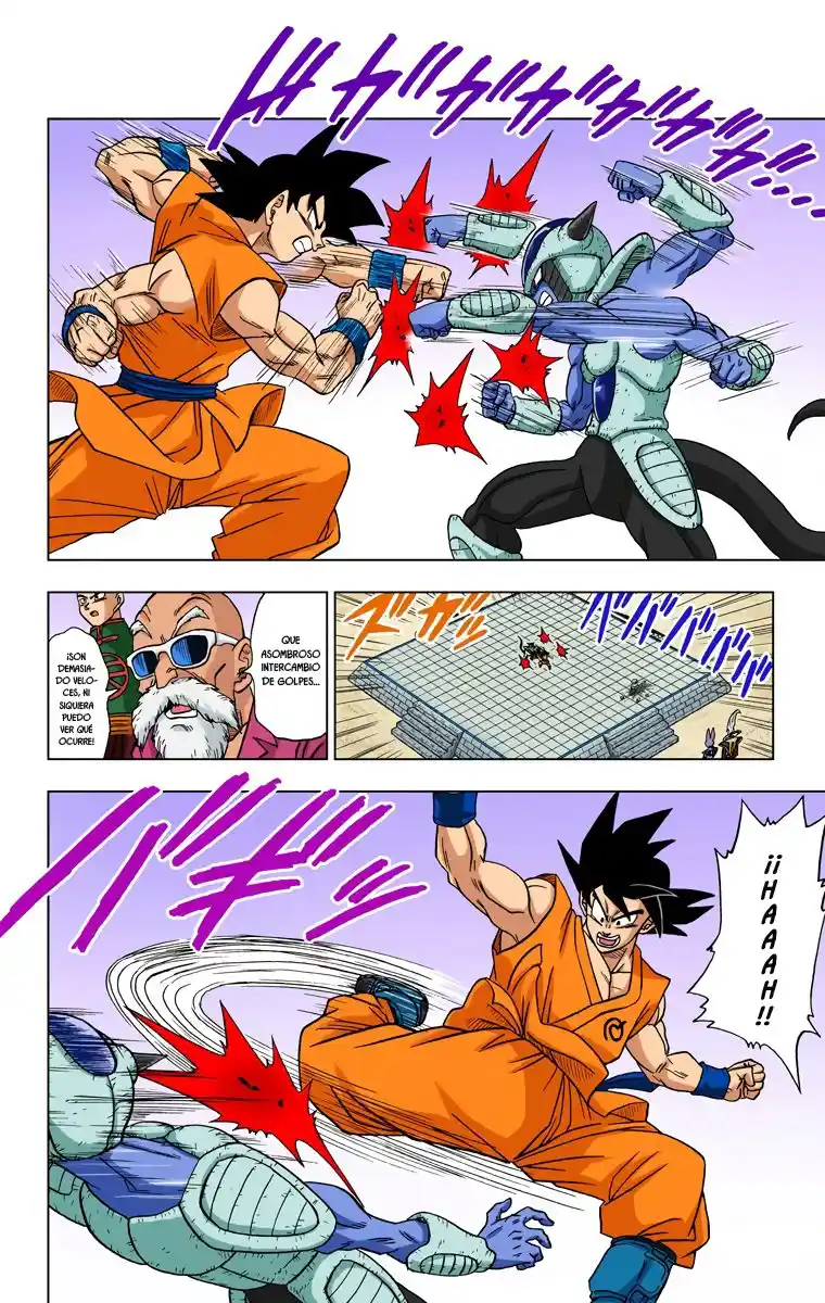 Dragon Ball Super Full Color - Capítulo 9 - Página 17 - LectorTMOo