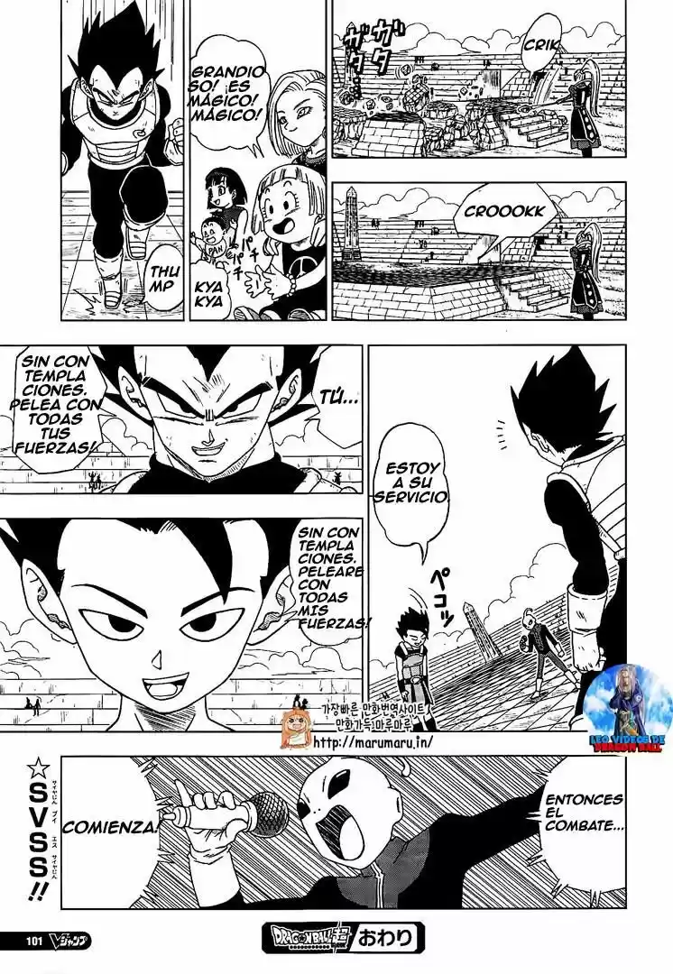 Dragon Ball Super - Capítulo 11 - Página 17 - LectorTMOo