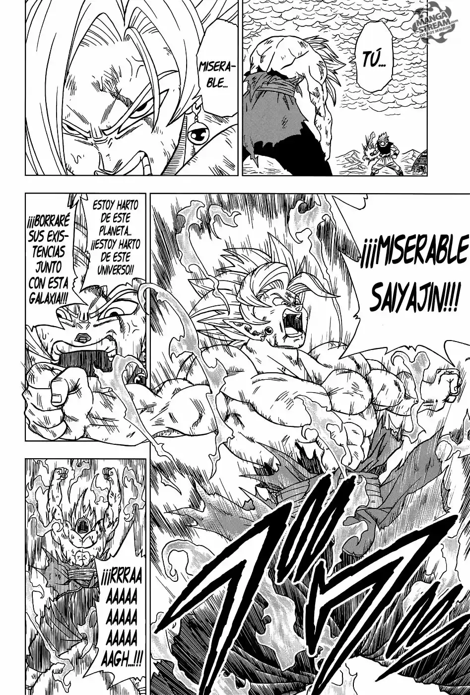 Dragon Ball Super - Capítulo 25 - Página 15 - LectorTMOo