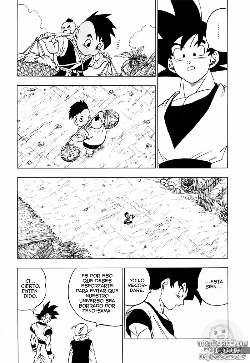 Dragon Ball Super - Capítulo 31 - Página 15 - LectorTMOo