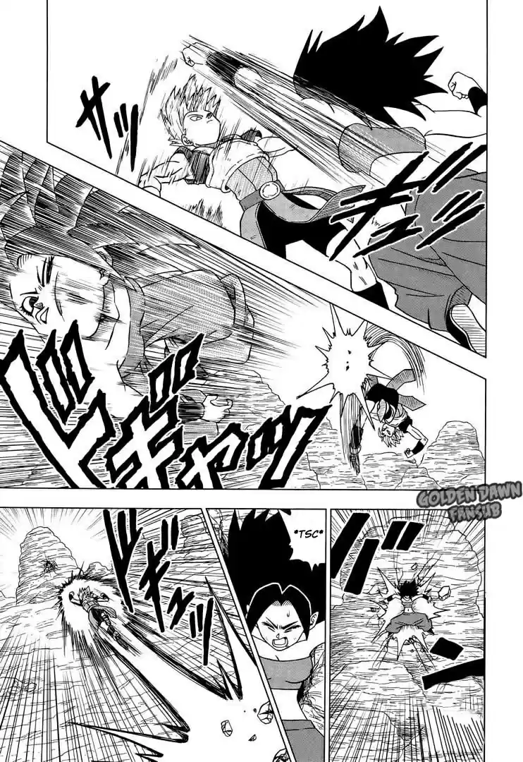 Dragon Ball Super - Capítulo 32 - Página 14 - LectorTMOo