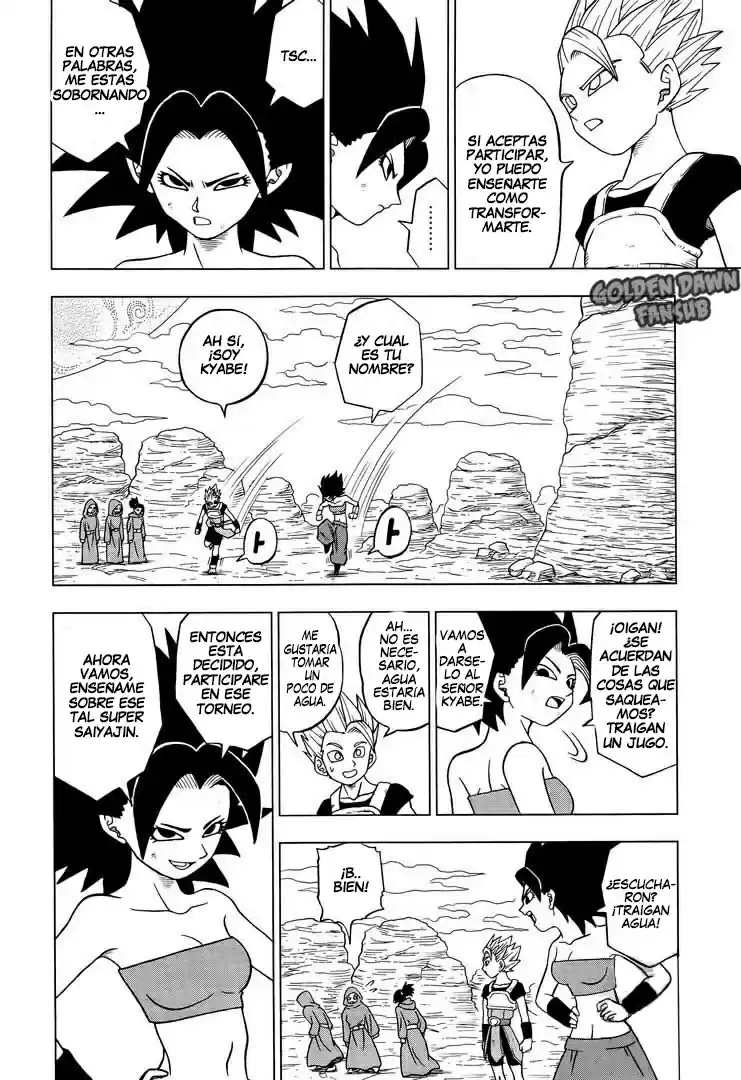 Dragon Ball Super - Capítulo 32 - Página 17 - LectorTMOo