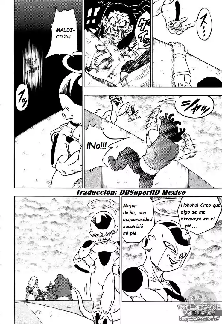 Dragon Ball Super - Capítulo 33 - Página 29 - LectorTMOo