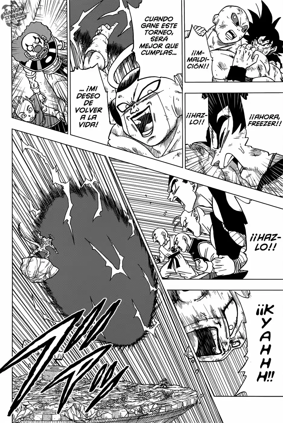 Dragon Ball Super - Capítulo 42 - Página 17 - LectorTMOo