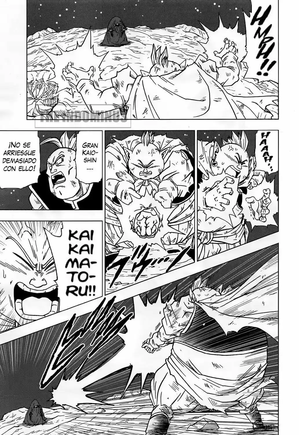 Dragon Ball Super - Capítulo 43 - Página 13 - LectorTMOo