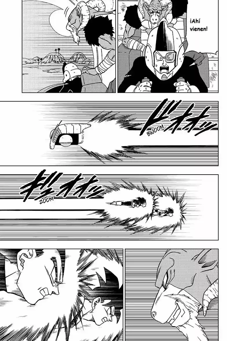 Dragon Ball Super - Capítulo 47 - Página 17 - LectorTMOo