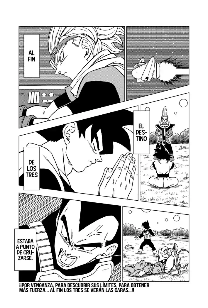 Dragon Ball Super - Capítulo 70 - Página 45 - LectorTMOo