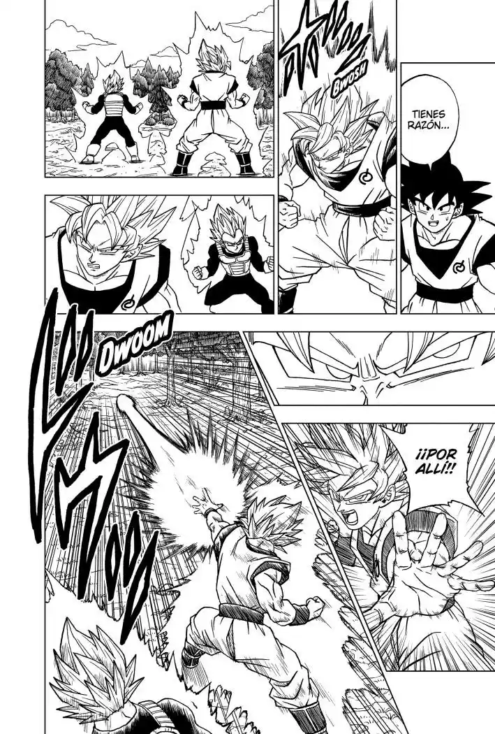 Dragon Ball Super - Capítulo 72 - Página 16 - LectorTMOo