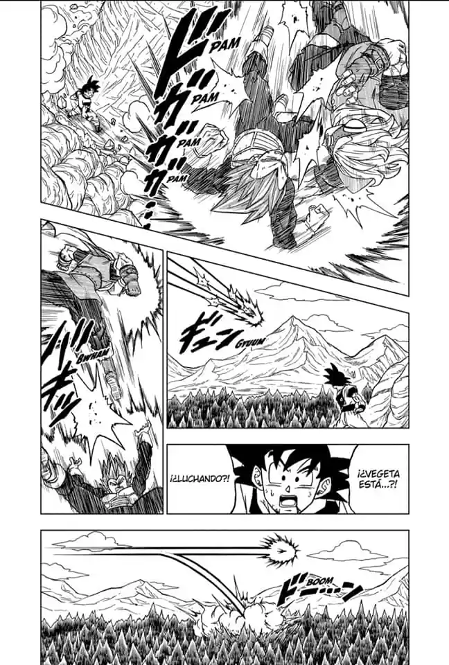 Dragon Ball Super - Capítulo 74 - Página 28 - LectorTMOo