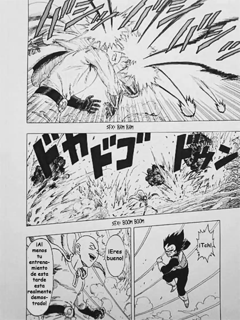 Dragon Ball Z & Onepunch-Man - Heijitsu Hiruma No Chougekisen - Capítulo 1 - Página 11 - LectorTMOo
