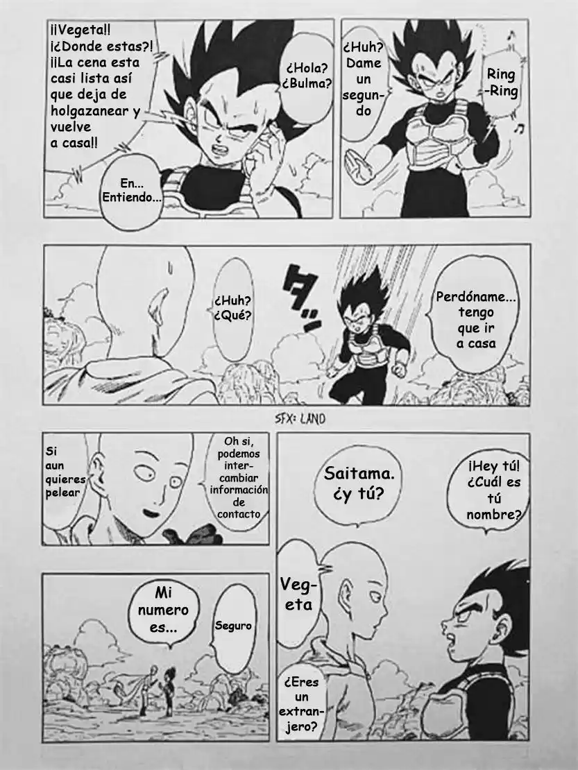 Dragon Ball Z & Onepunch-Man - Heijitsu Hiruma No Chougekisen - Capítulo 1 - Página 17 - LectorTMOo