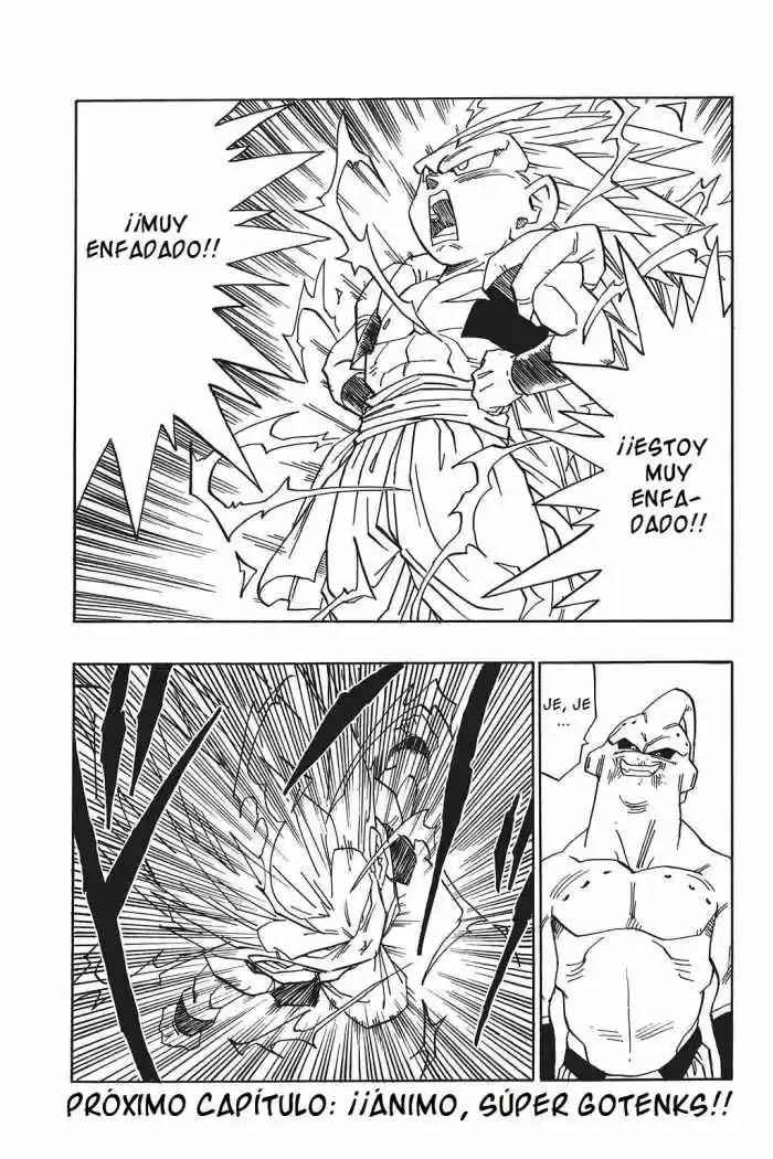 Dragon Ball - Capítulo 493 - Página 13 - LectorTMOo