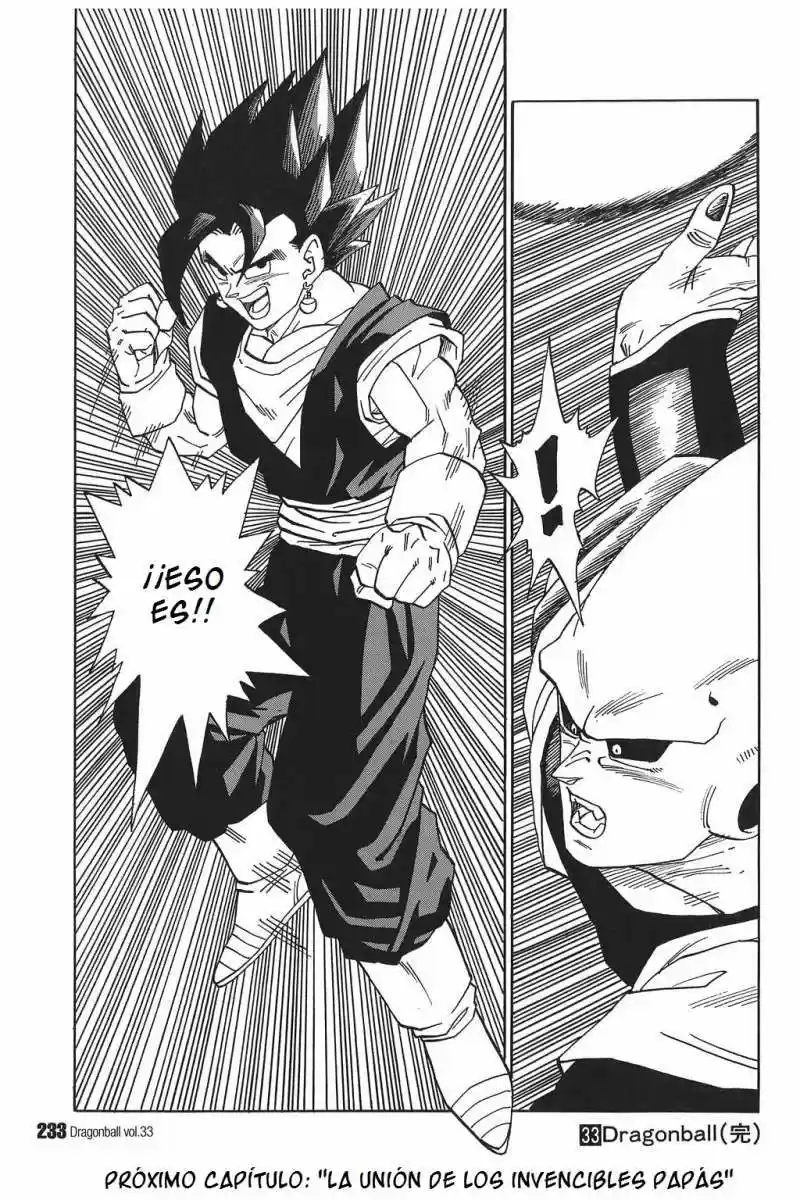 Dragon Ball - Capítulo 503 - Página 13 - LectorTMOo