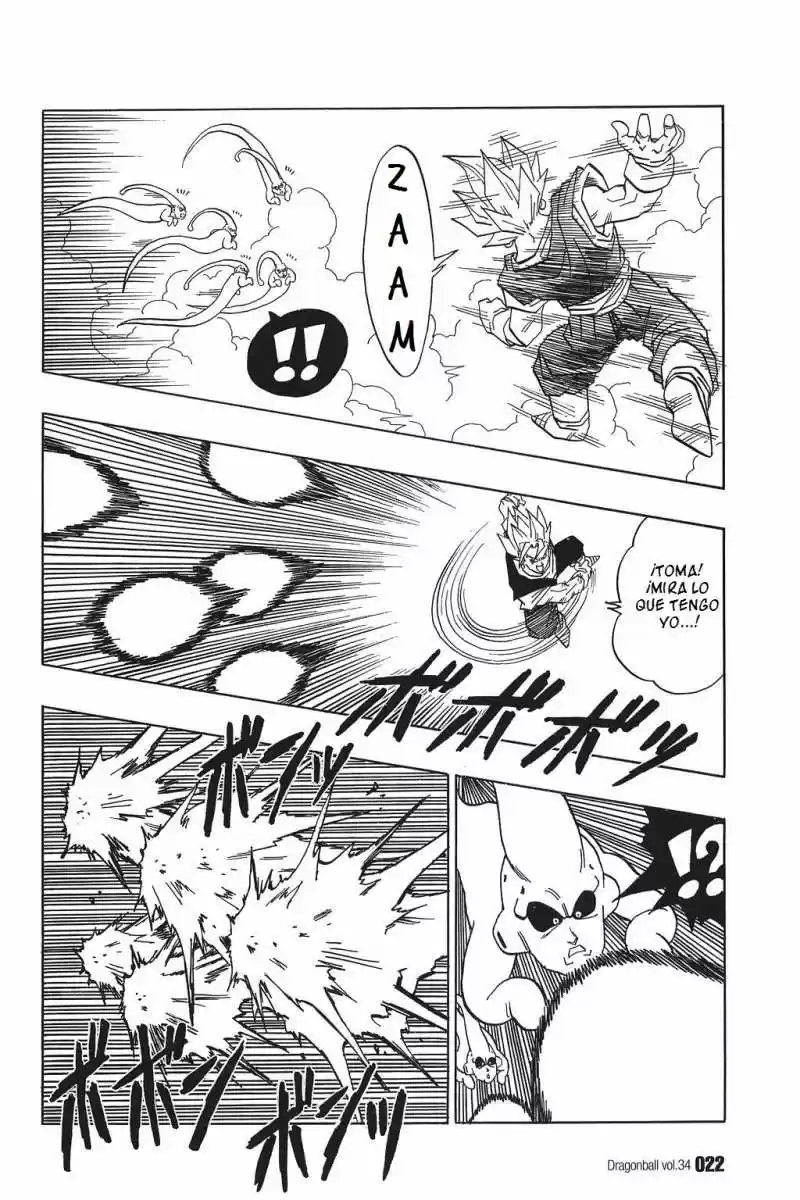 Dragon Ball - Capítulo 505 - Página 4 - LectorTMOo