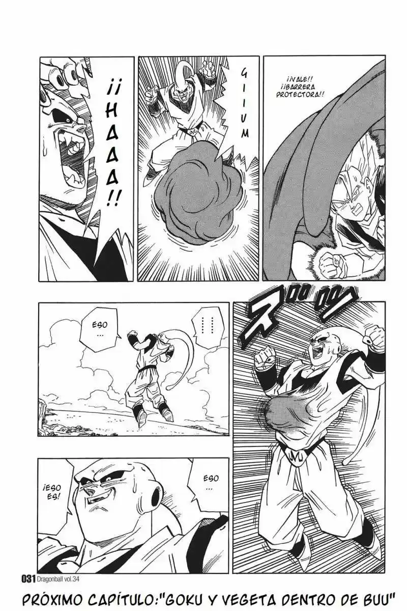 Dragon Ball - Capítulo 505 - Página 13 - LectorTMOo