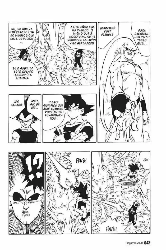 Dragon Ball - Capítulo 506 - Página 10 - LectorTMOo