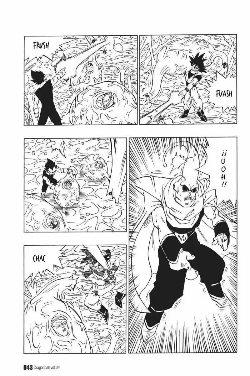 Dragon Ball - Capítulo 506 - Página 11 - LectorTMOo