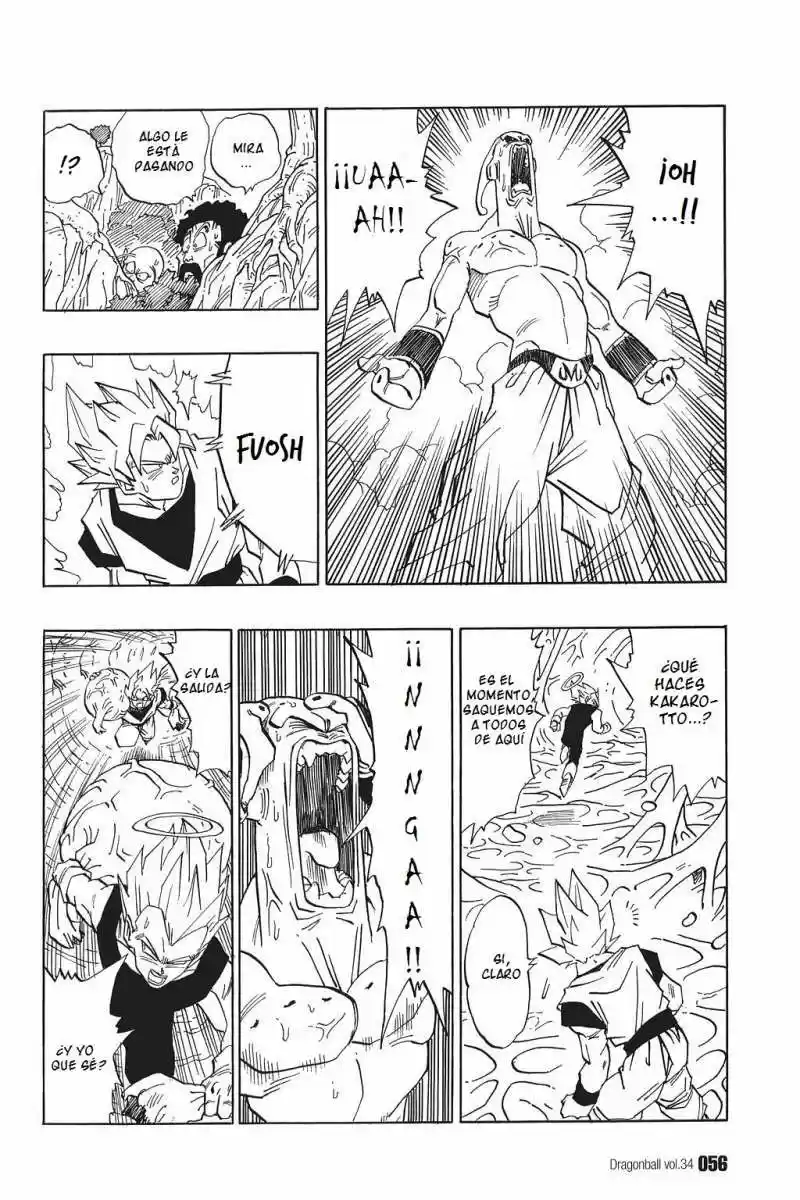 Dragon Ball - Capítulo 507 - Página 10 - LectorTMOo