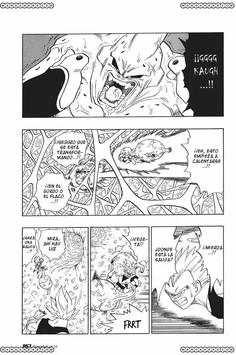 Dragon Ball - Capítulo 507 - Página 11 - LectorTMOo