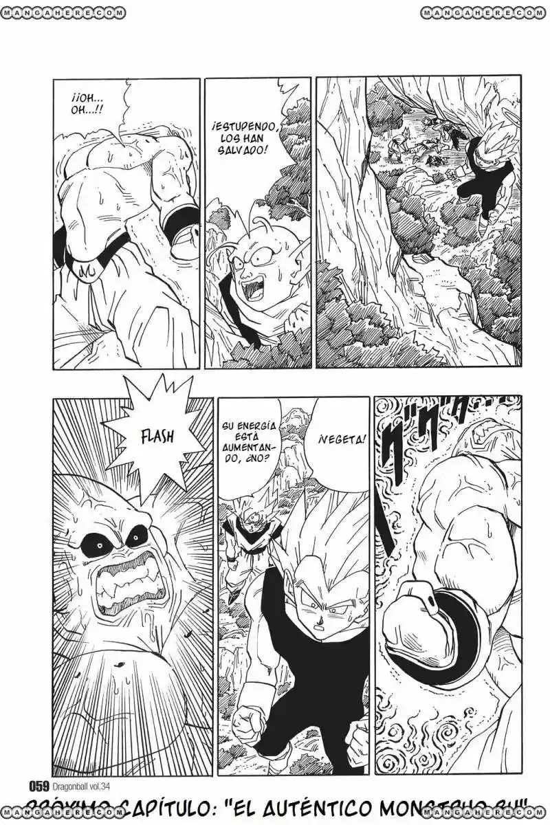 Dragon Ball - Capítulo 507 - Página 13 - LectorTMOo