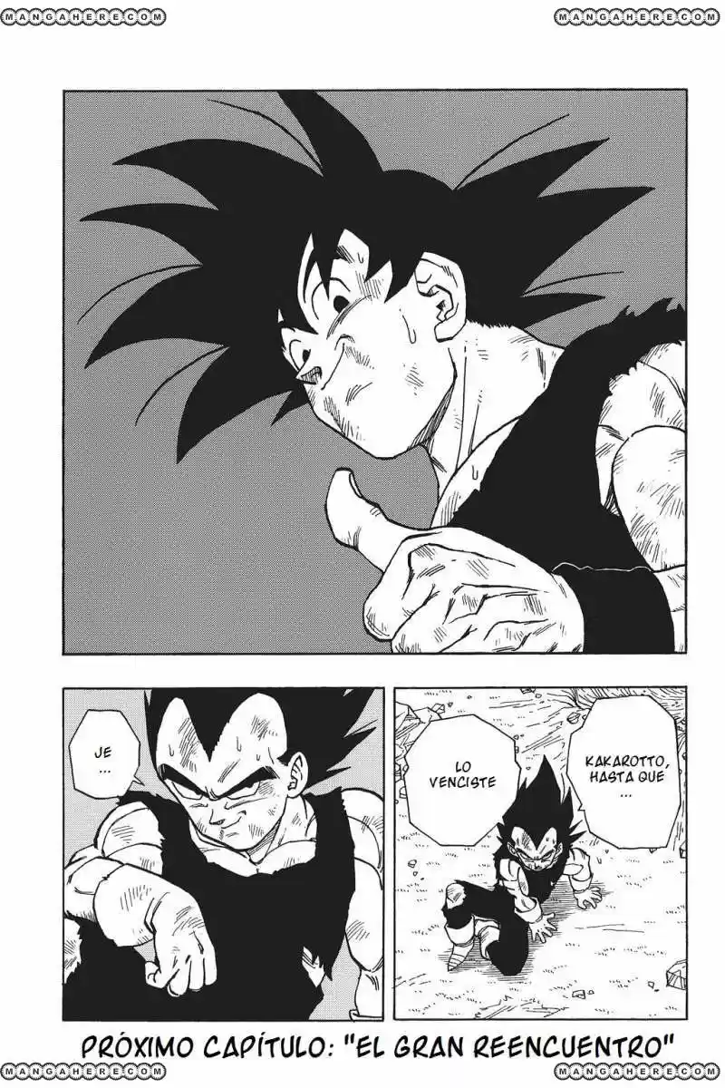 Dragon Ball - Capítulo 516 - Página 15 - LectorTMOo
