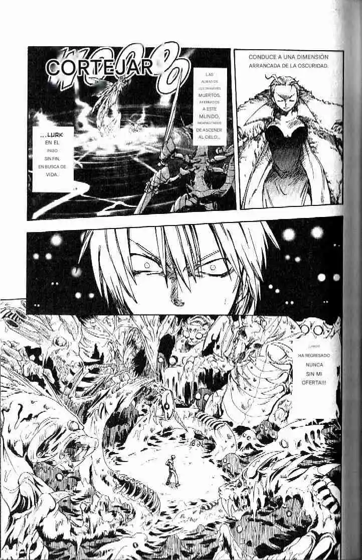 Dragon Drive - Capítulo 19 - Página 13 - LectorTMOo