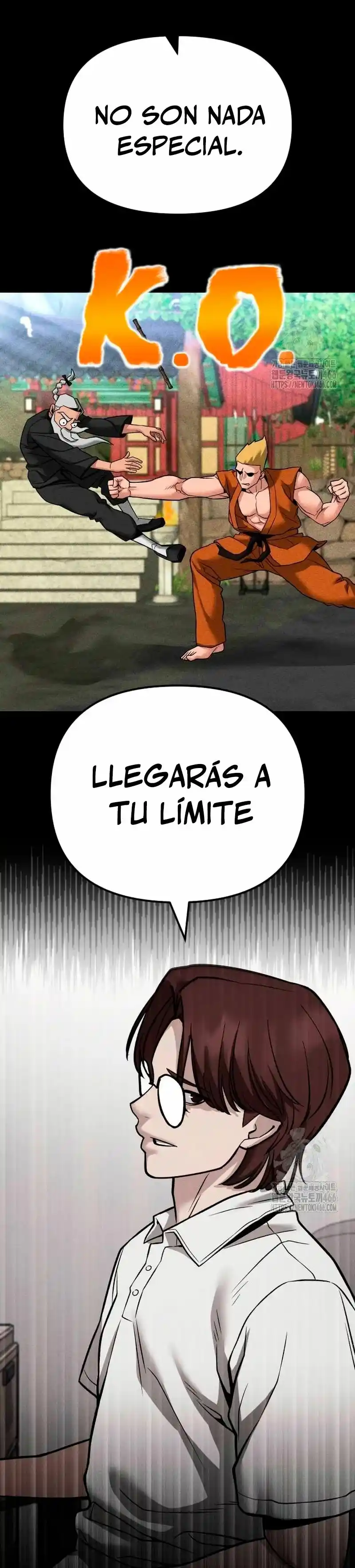 El Matón A Cargo - Capítulo 113 - Página 30 - LectorTMOo