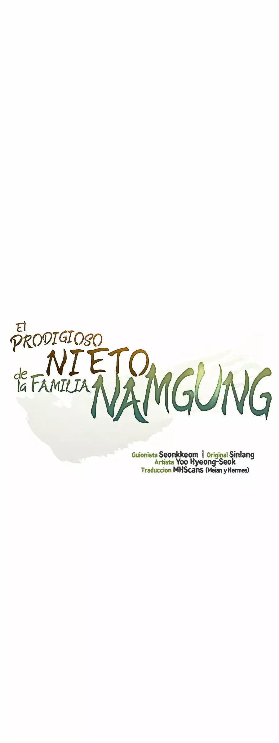 El Prodigioso Nieto De La Familia Namgung - Capítulo 12 - Página 12 - LectorTMOo