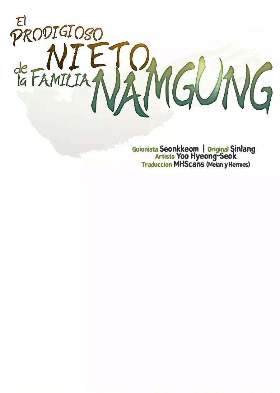 El Prodigioso Nieto De La Familia Namgung - Capítulo 18 - Página 14 - LectorTMOo