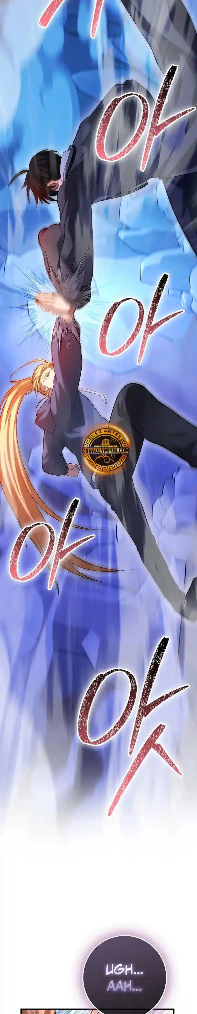 EL REGRESO DEL GENIO DE LAS ARTES MARCIALES - Capítulo 116 - Página 17 - LectorTMOo