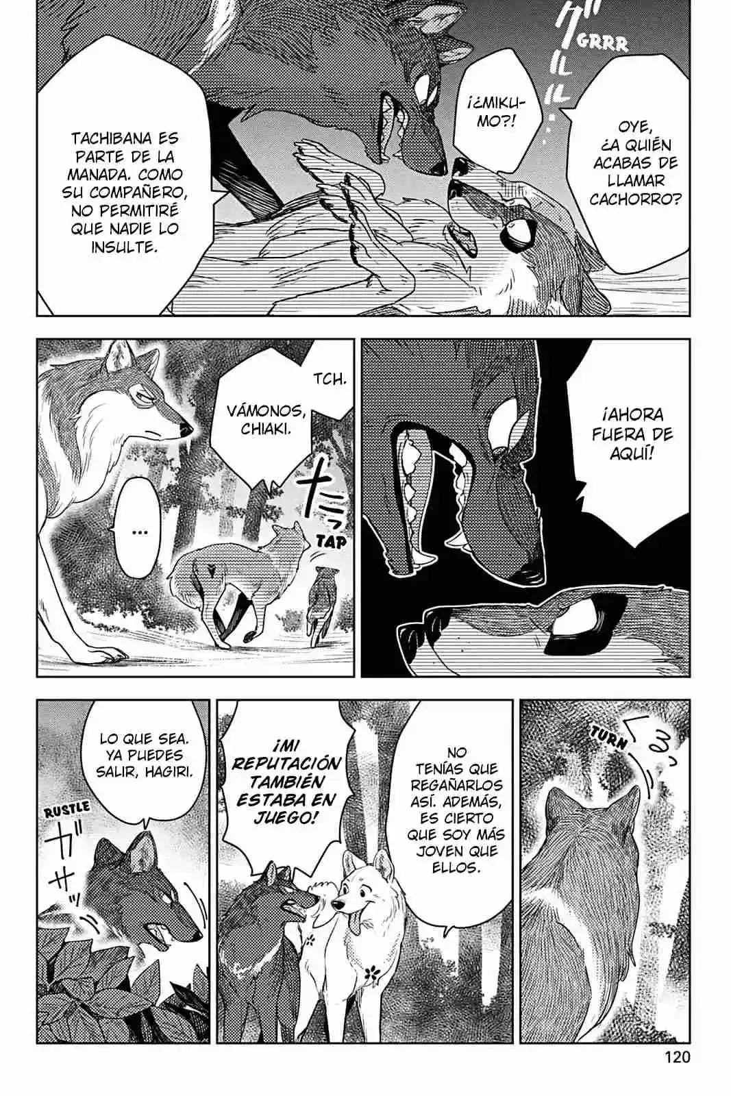 El Zorro Y El Pequeño Tanuki - Capítulo 11 - Página 16 - LectorTMOo