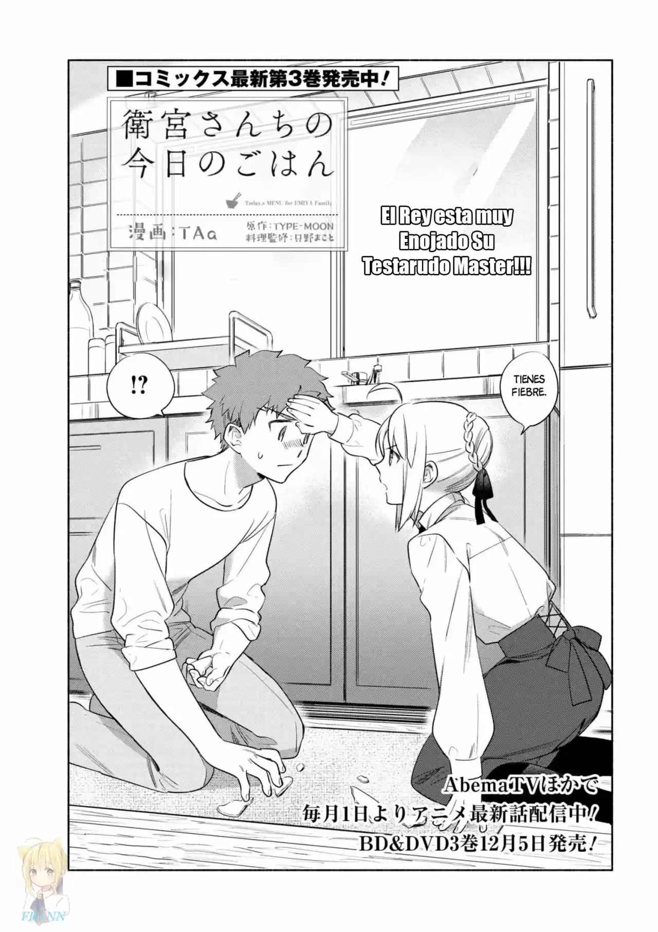 Emiya-san Chi No Kyō No Gohan - Capítulo 29 - Página 4 - LectorTMOo